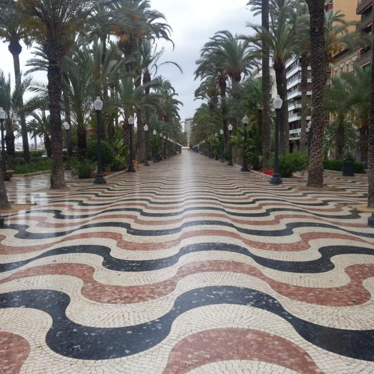 Apartamento-estudio Corazón de Alicante - Apartment - 21