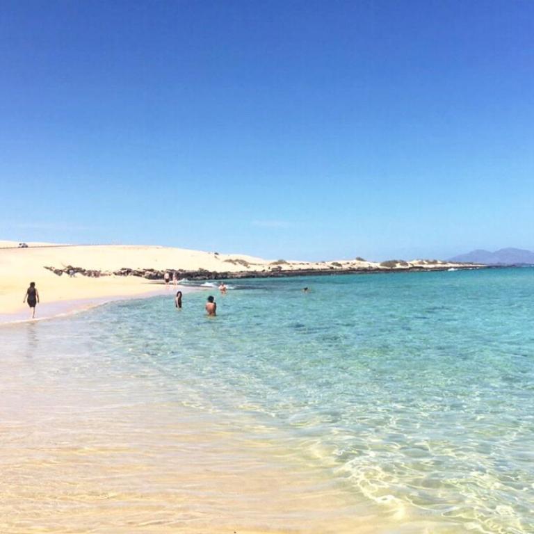 Fuerteventura - La Caleta, Parques Holandes - Apartamento con vistas a la piscina - 24