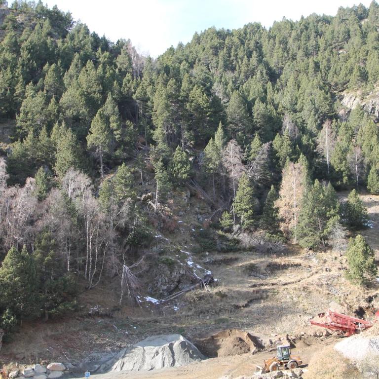 Pont de Toneta 4,2 Ransol, Zona Grandvalira - Apartment mit 1 Schlafzimmer - 1