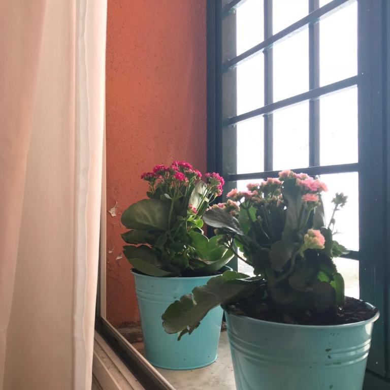 La Casa del Fotografo - Appartamento - 22