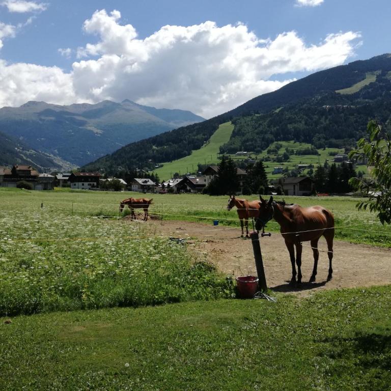 Casa Giulia - Appartamento con Vista Montagna - 42
