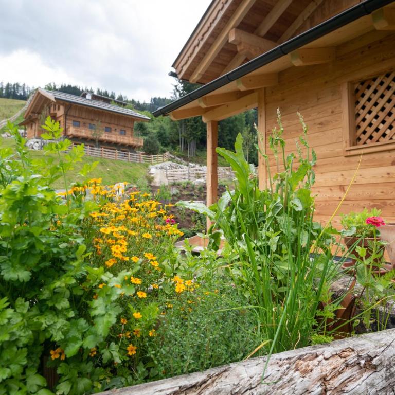 Prenner Alm - Ferienhaus - 35