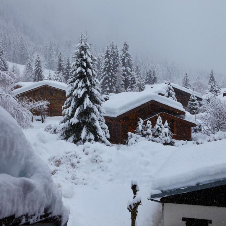 Residence La Verte 24- Aux Pieds des pistes! - Appartamento - 22