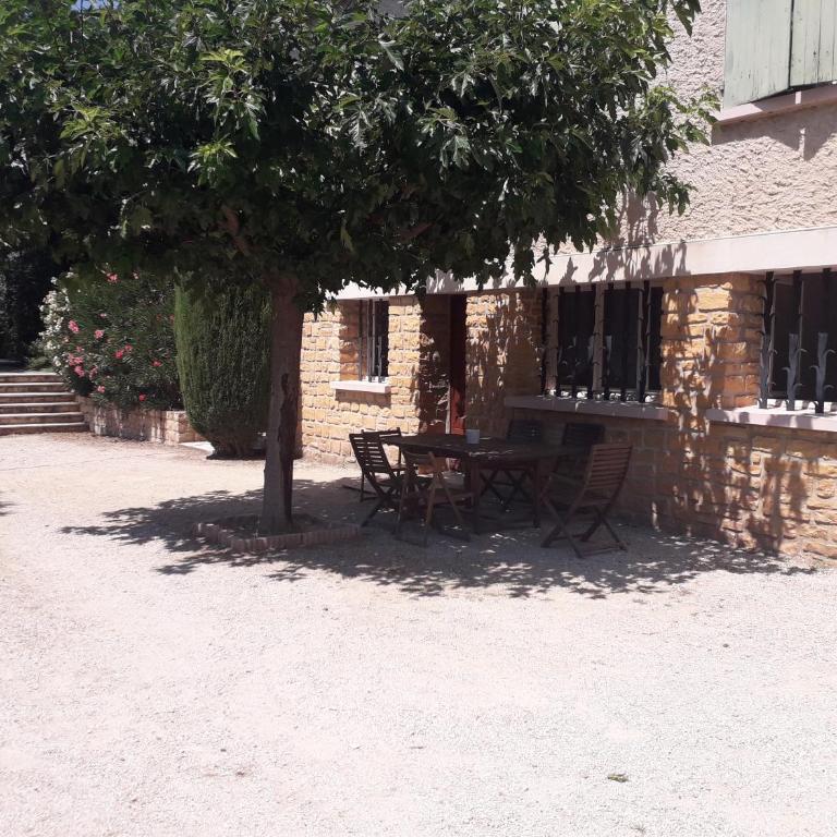 les oliviers - Appartement - 3