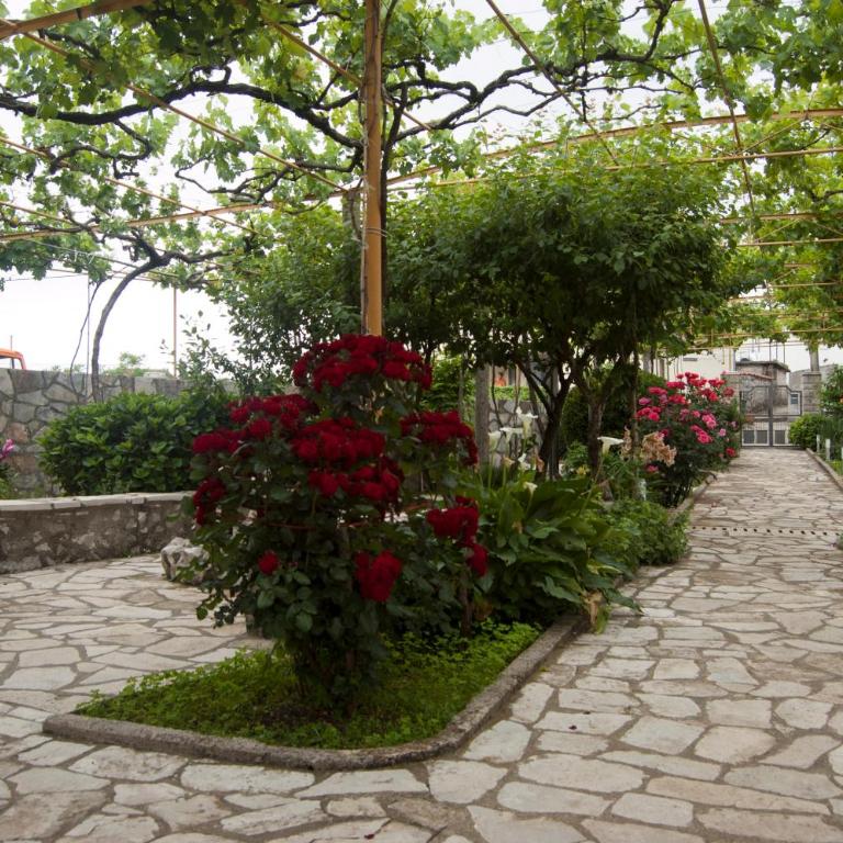 Little Nautilus - Apartman - 4