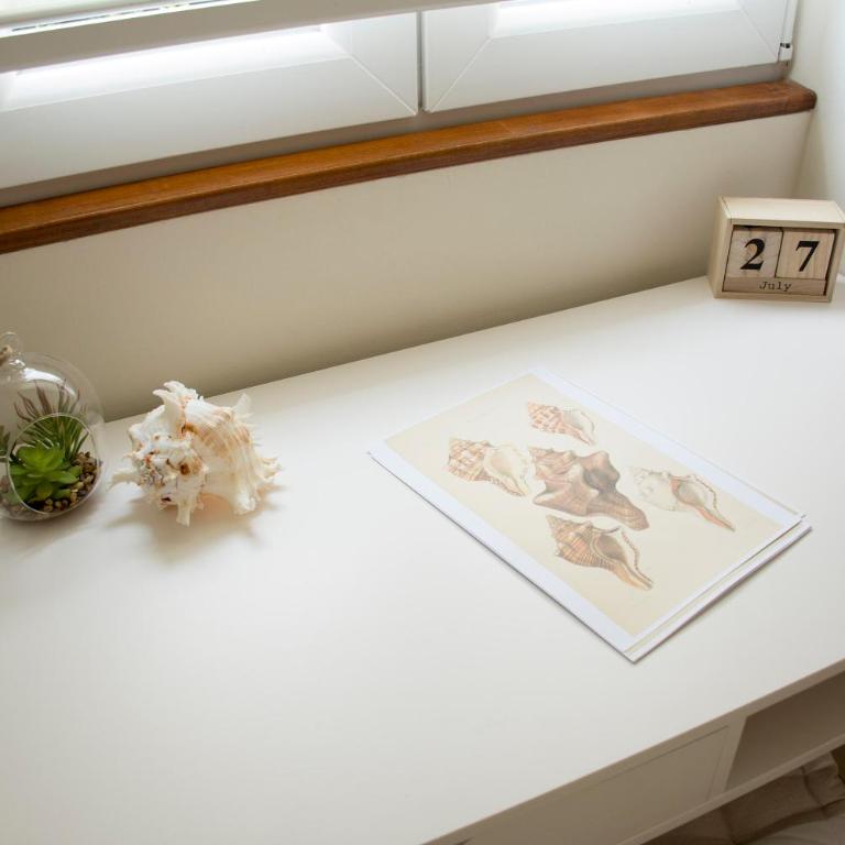 Little Nautilus - Apartman - 24