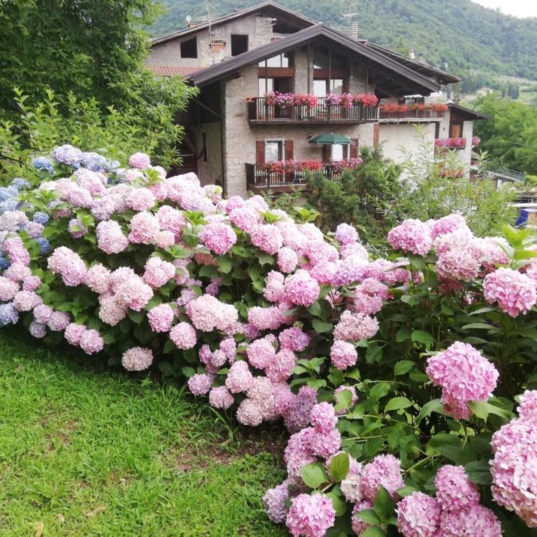 Antica Casa Ortensia - Appartamento con 1 Camera da Letto - 3
