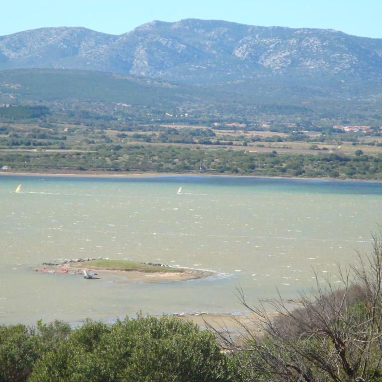 Leucate,dans la verdure,studio caverne en pierre dans propriété sécurisée - Appartement - Vue sur Jardin - 20