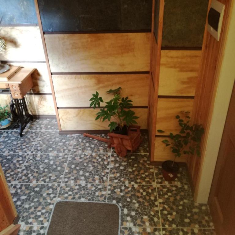 Casa-departamento Gimar Traiguen - Apartamento - 12