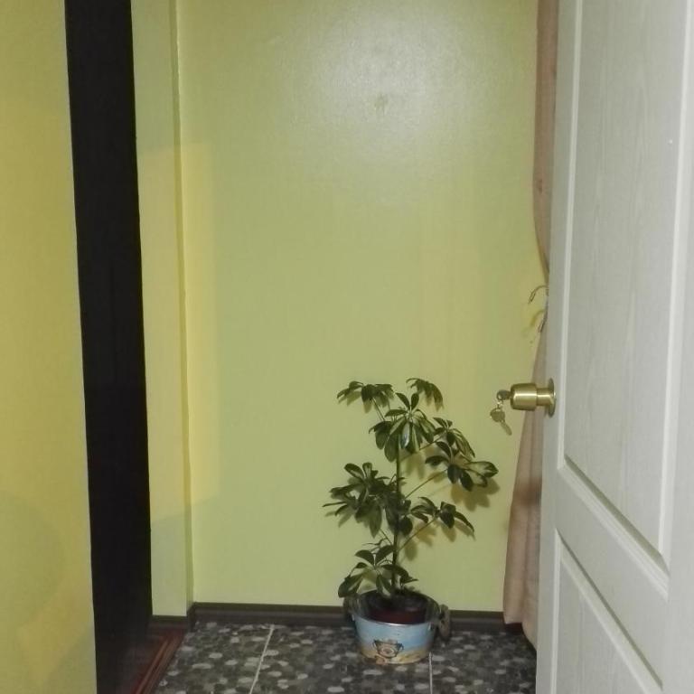 Casa-departamento Gimar Traiguen - Apartamento - 8