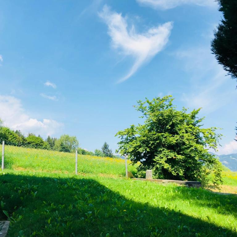 Rafael Kaiser Residence Privée - Spielberg Obdach - Villa - 44