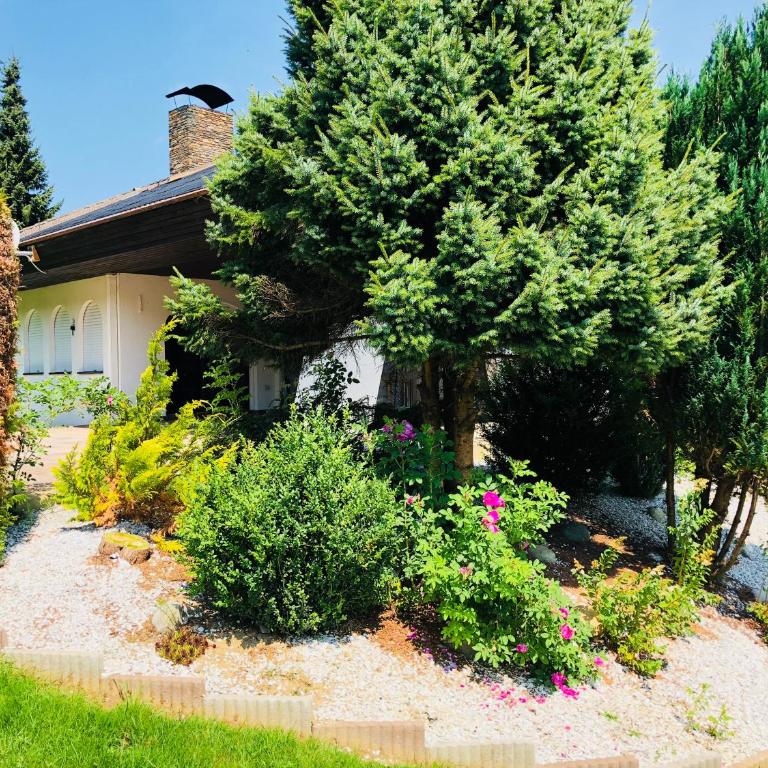 Rafael Kaiser Residence Privée - Spielberg Obdach - Villa - 20