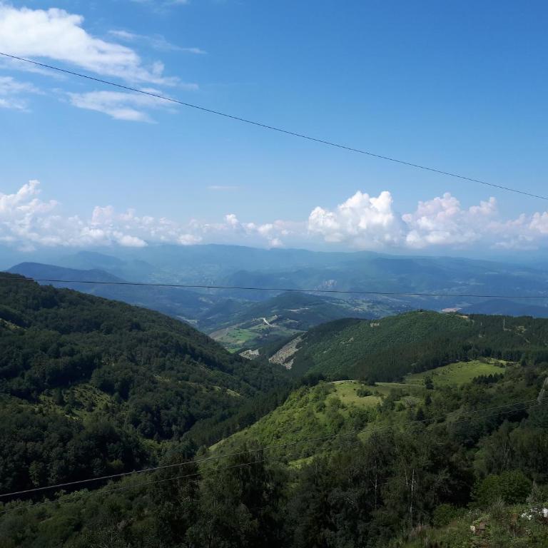 Milmari Apartments Joy M17 - Apartman - 47