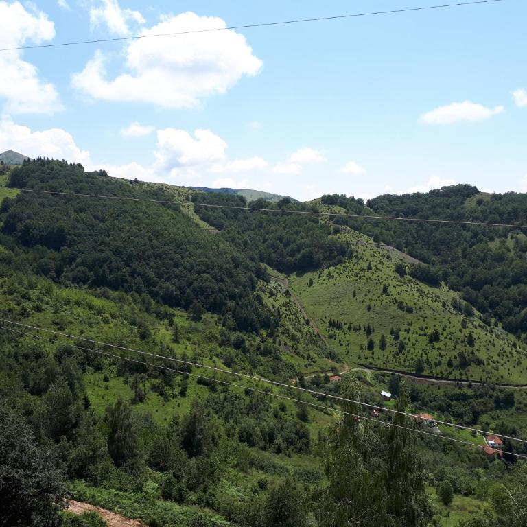 Milmari Apartments Joy M17 - Apartment - 53