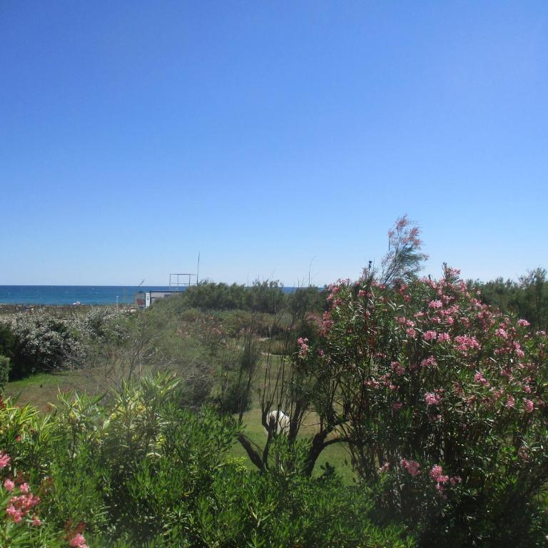Appartement En Bord De Mer avec piscine - Apartment - 23