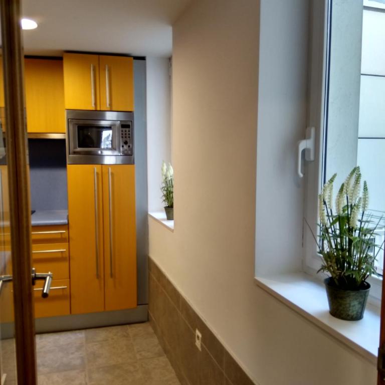 Apartamento Mercaderes - Apartamento Estudio - 5