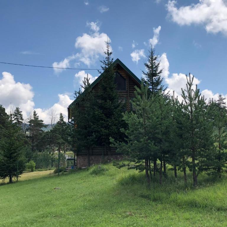 Kuca u borju - House in pines - One-Bedroom Apartment - 25