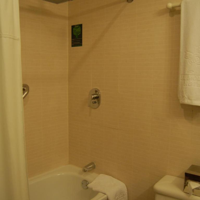 Hotel El Molino Riobamba - Habitación Deluxe - 1 cama grande - 1