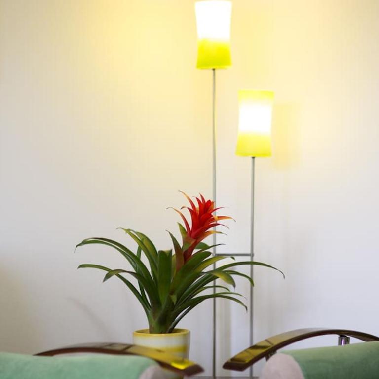 Old Town House in Sarajevo - Apartman sa Terasom - 6