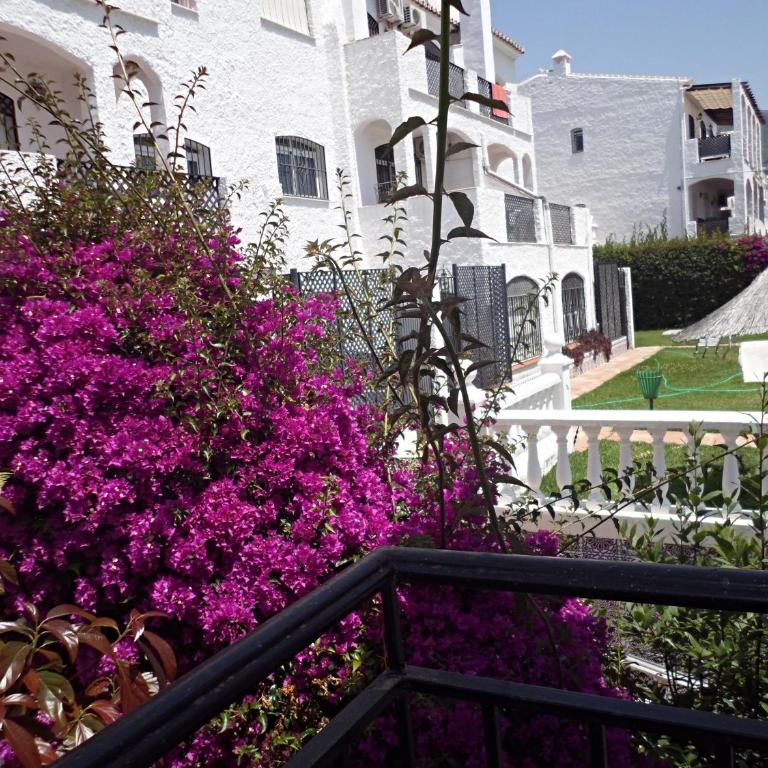 Verano Azul 12 Menyber - Apartamento - 15