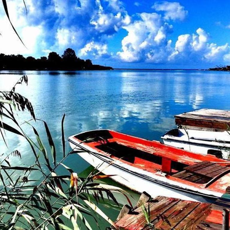 Cottage Ajna - Ada Bojana - Koliba sa 2 Spavaće Sobe - 16