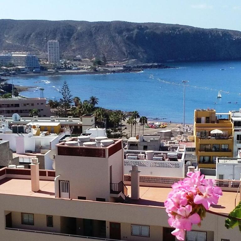 Ocean View Cactus I , over Los Cristianos, Playa las Vistas - Apartamento - 13