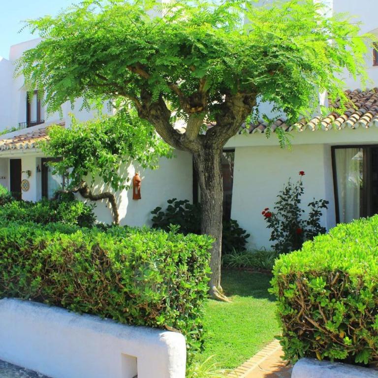 Estepona - Playa - 1 dormitorio al lado del mar Pi40 - Apartamento - 9