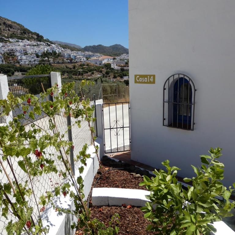 Casa14 - Casa - 30