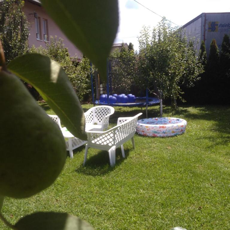 Elite Apartment Jasmina - Apartment - 22