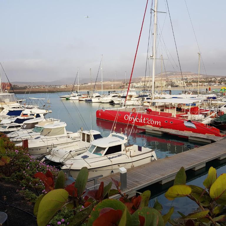 Caleta Amigos 6B - Apartment - Split Level - 69