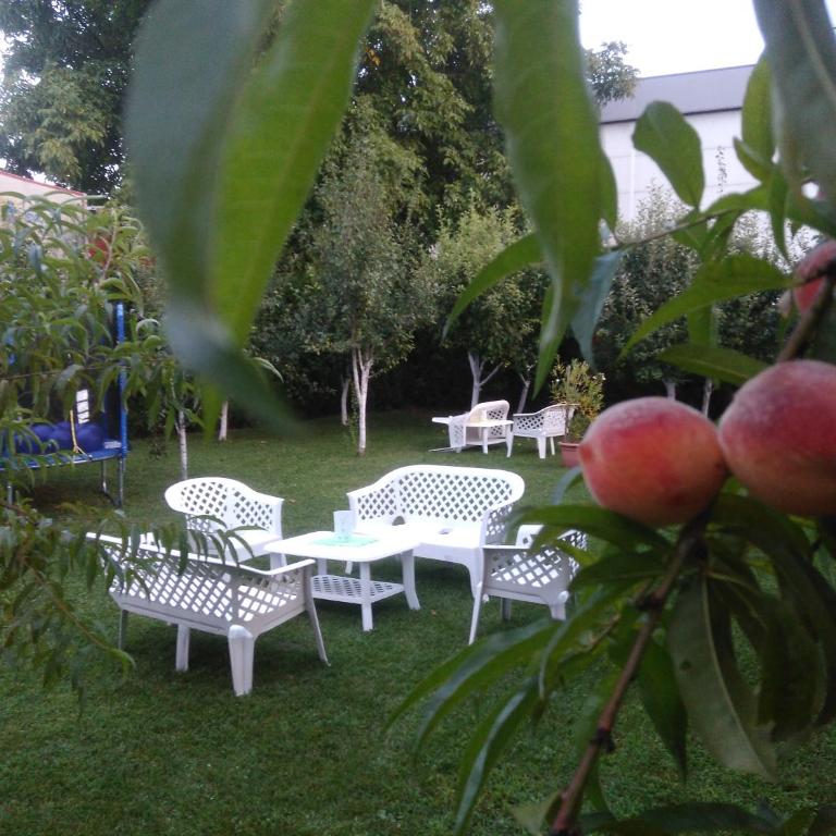 Apartmani Jasmina 2 - Deluxe Apartment - 21