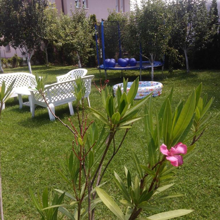 Apartmani Jasmina 2 - Deluxe Apartment - 27