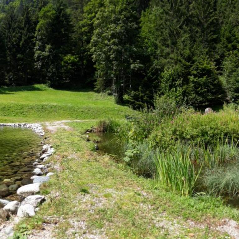 Ferienwohnung Alpklang - Apartment mit Blick auf die Berge - 39