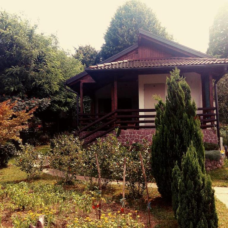 Sunny Paradise - Vacation Home - 1