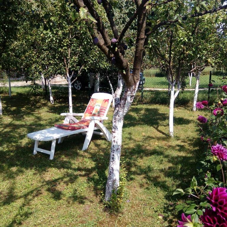 Sunny Paradise - Vacation Home - 14