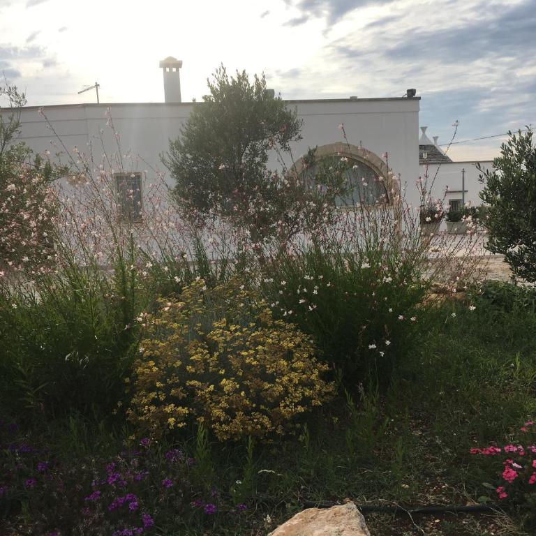 Trulli Relais Casa Gemma - Casa a Schiera con 2 Camere da Letto - 13