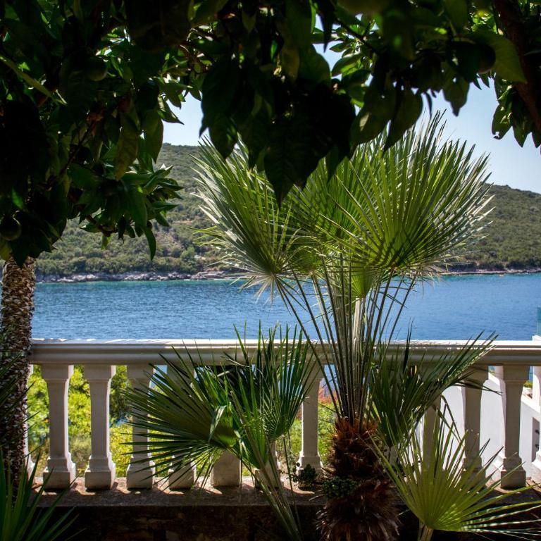 Sea Oasis Apartments - Milosevic - Apartment with Sea View - 10