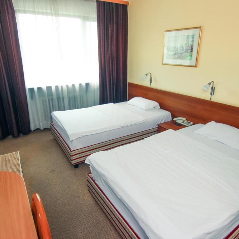 Hotel Grand - Superior Dvokrevetna Soba sa Bračnim Krevetom/Zasebnim Krevetima - 4