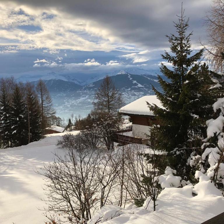 Chalet Domaine de la Famille te Arbaz - Ferienhaus - 39