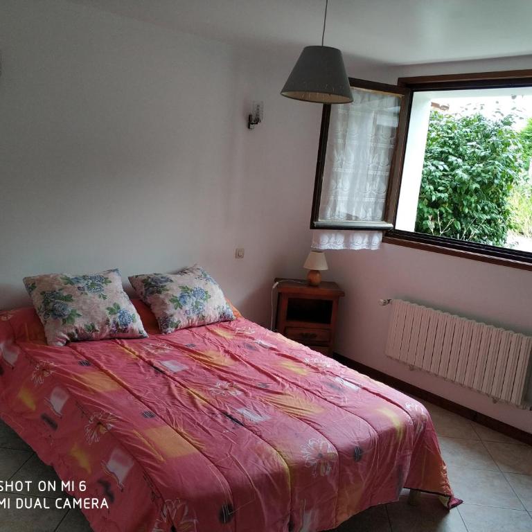 Les Bananiers - Appartement 2 Chambres - 9