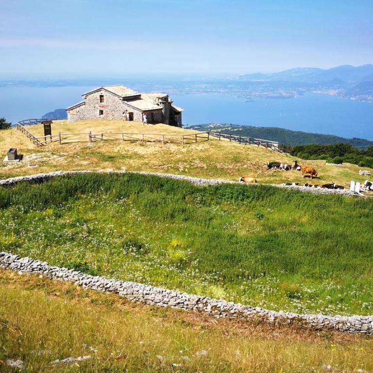 Villa Mattarana - Villa - 21