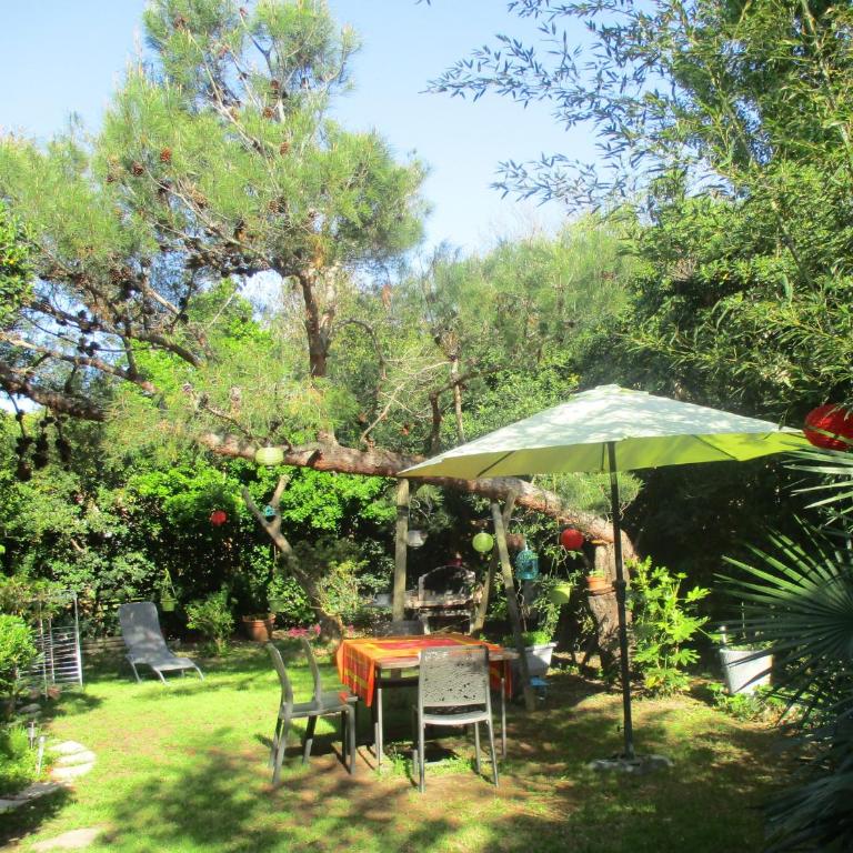 Jardin et bambous, studio cosy, classé 2 étoiles - Appartement - 28
