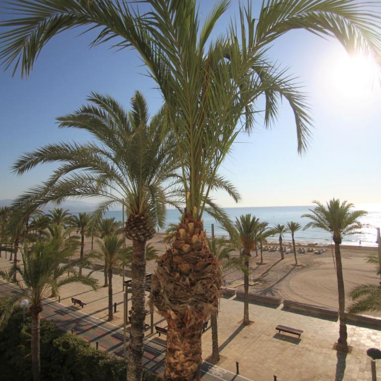 LOTELITO Escucha y disfruta del mar en 1º Línea San Juan Playa - Apartment - 29