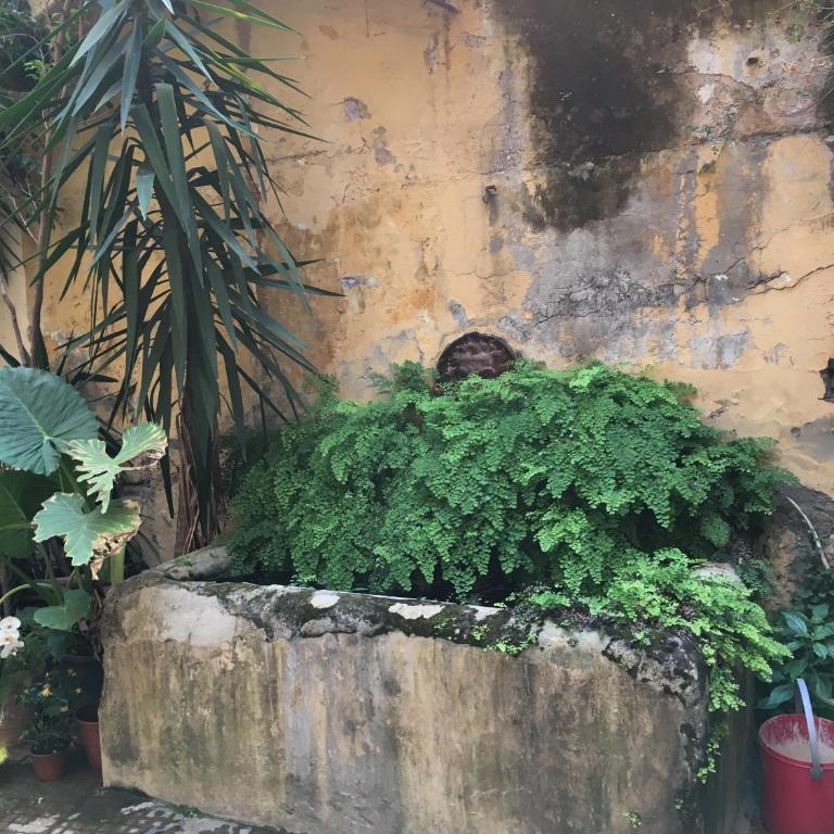 Elegant Apartment in the Center of Rome! - Appartamento - 12