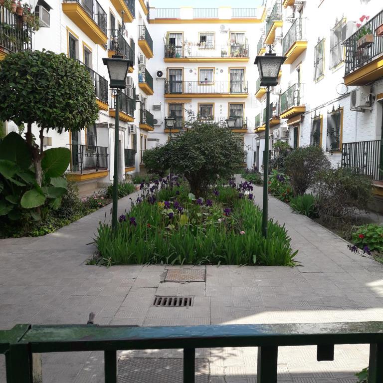 NOOL Sevilla - Apartamento - 9