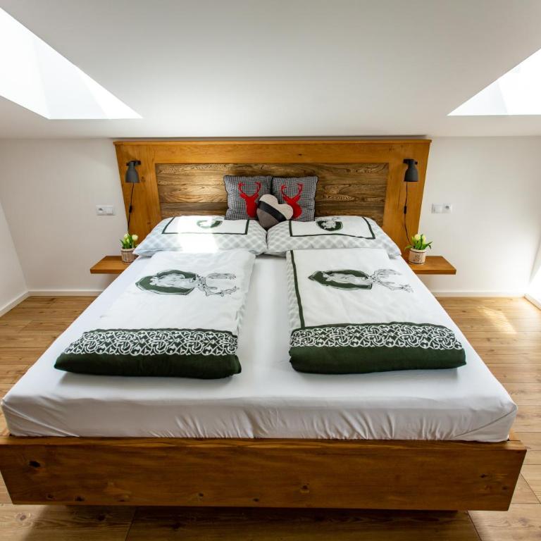 Alpenhaus Dachstein.Zauber - Deluxe Apartment - 13