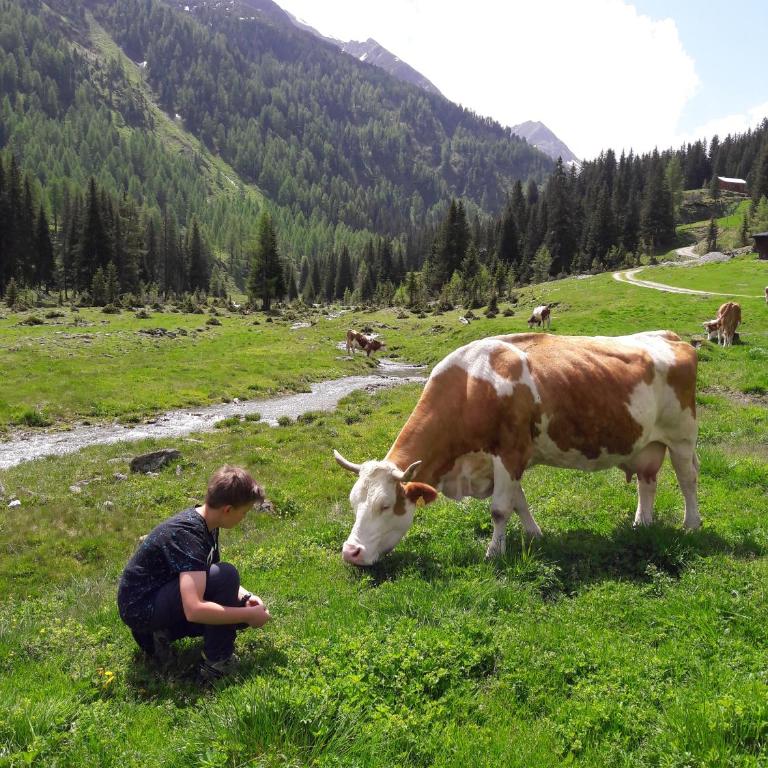 Zirbenchalet Grossglockner - Chalet - 36