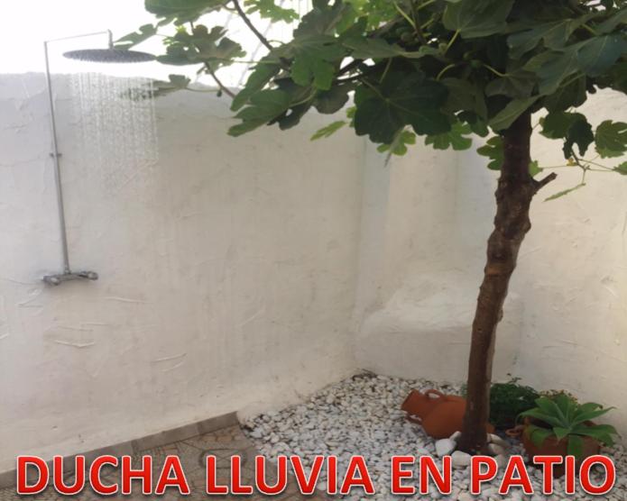 La Casa de la Higuerita - Apartamento de 1 dormitorio - 14