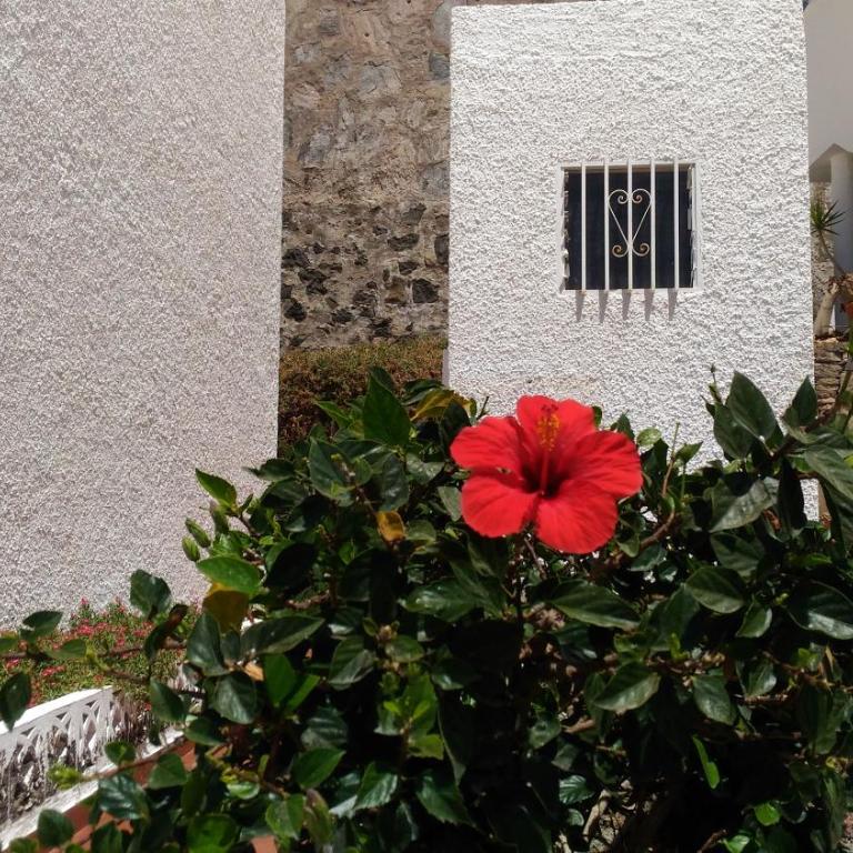 Sweet House - Apartment with Balcony - 45