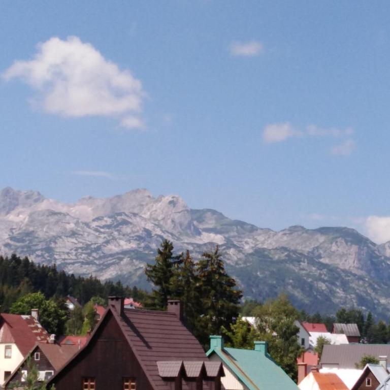 Apartments Durmitor - Apartment with Terrace - 21